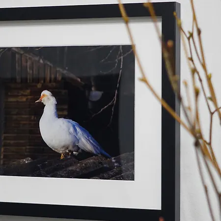Kdovíkde Prázdninový dům Budyne nad Ohri