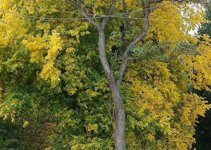 Semesterbostad Kdovikde