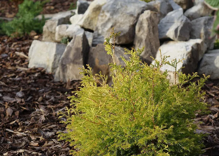 Kdovikde Semesterbostad Budyne nad Ohri