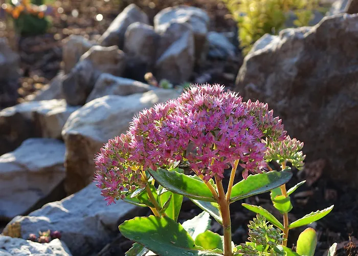Semesterbostad Kdovikde Budyne nad Ohri