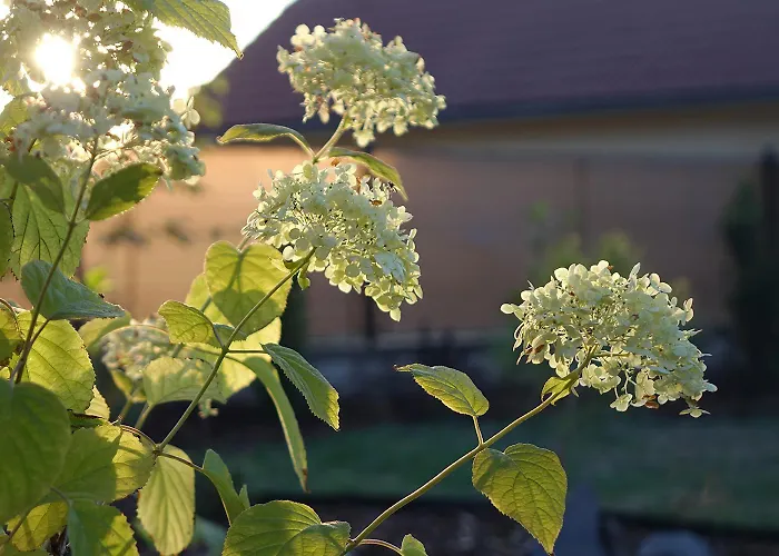 Kdovikde Budyne nad Ohri