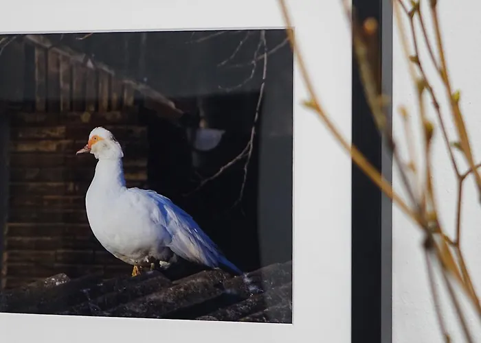 Kdovikde Semesterbostad Budyne nad Ohri